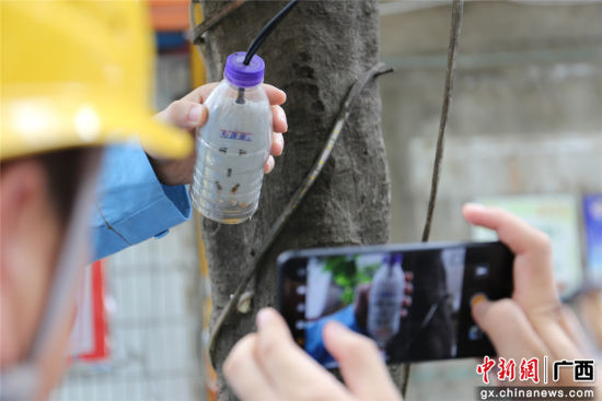 住戶為防止雨天插座漏電而套上的塑料瓶中積水明顯，存在漏電隱患。謝耘 攝